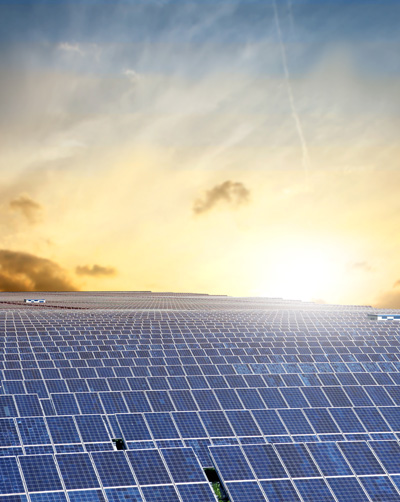 solar-panels-for-bio-energy-grimnetwork